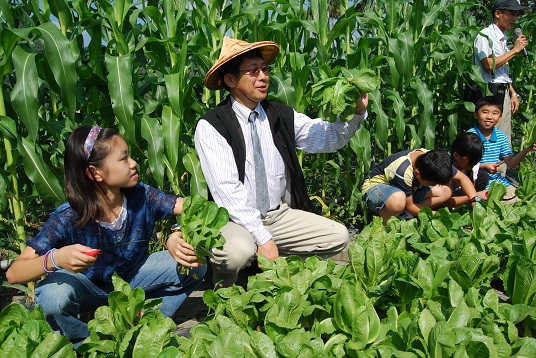 Minister Chiang harvests the fresh vegetables and corns with the rural area elementary students