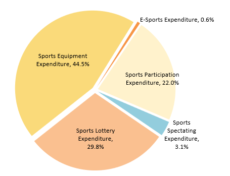 Each sports expenditure proportion in 2020